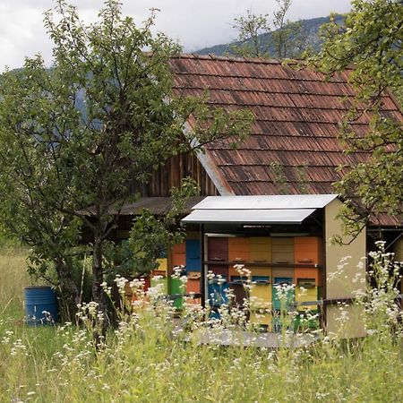 Apartma Petra Ravnik - Wanderer'S Hut Bohinj Exterior photo