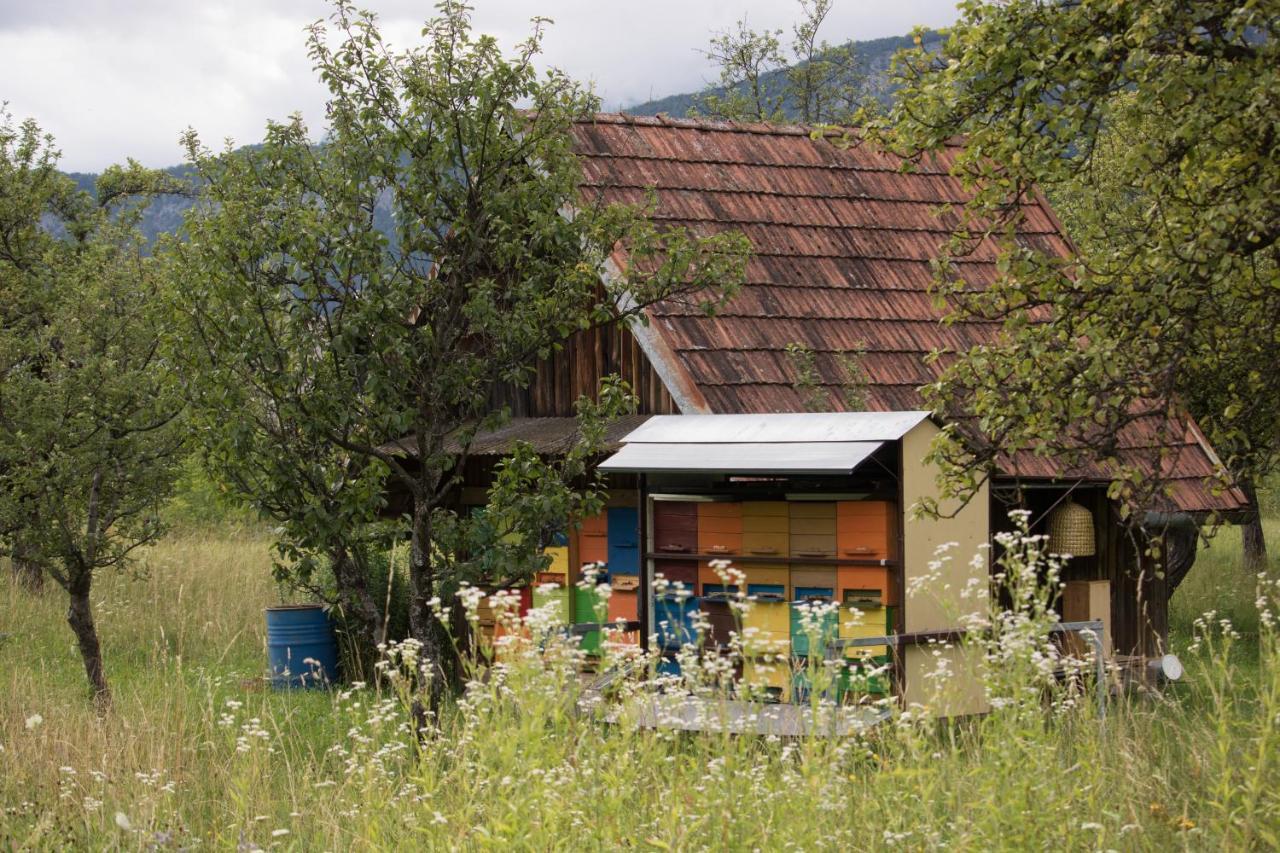Apartma Petra Ravnik - Wanderer'S Hut Bohinj Exterior photo